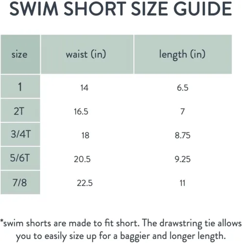 Vista 5 de Sisterly Market Swim Shorts