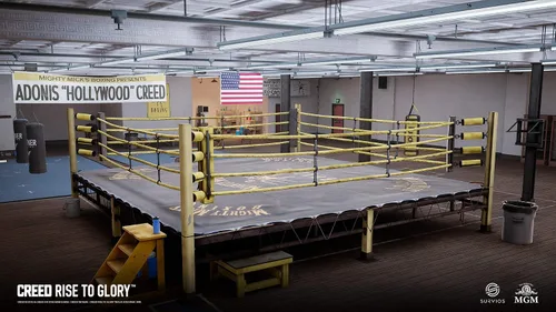 Vista 8 de Creed Rise to Glory PSVR PS4