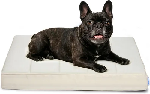 Vista 47 de Tapete refrescante para perros pequeños, almohadilla ortopédica de espuma viscoelástica de 24 x 18 pulgadas para verano, QMAX>0.5, almohadilla