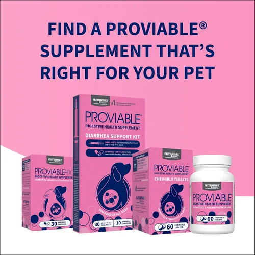 Vista 10 de Nutramax Probióticos Proviable para perros, Suplemento diario de salud digestiva con múltiples cepas de bacterias, probióticos para perros más