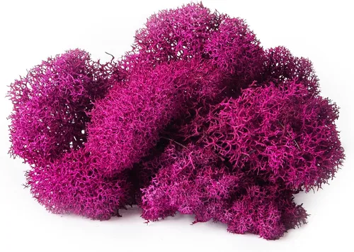 Vista 2 de Super Moss (23164) Musgo de reno preservado, fucsia, 2 onzas Musgo preservado suave, decoración del hogar, manualidades y terrarios, diseño