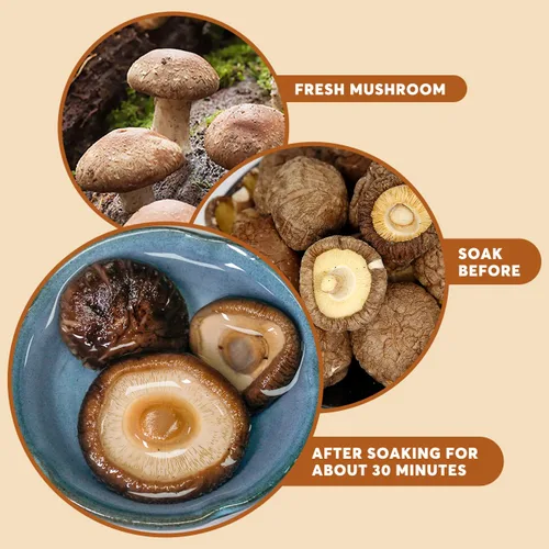 Vista 3 de Setas Shiitake secos.