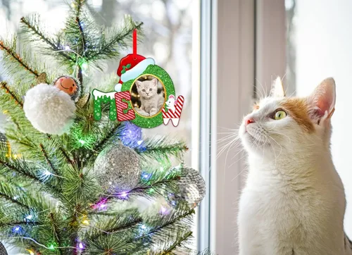 Vista 3 de Whatsign Adornos de marco de fotos de gatos, decoración de recuerdo colgante de Navidad para árbol de Navidad, adornos personalizados para gatos