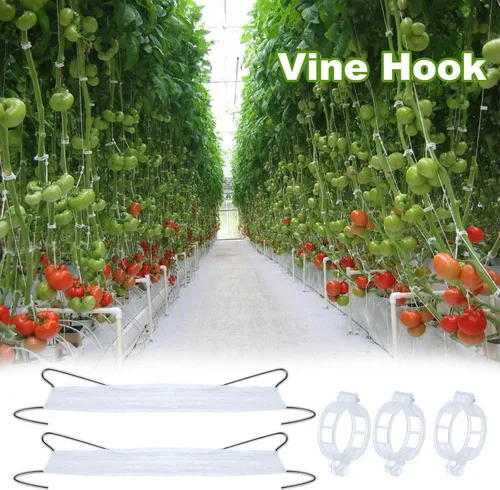 Vista 7 de 20 ganchos de tomate con cuerda, ganchos de soporte de tomate, ganchos de soporte de tomate y clips de soporte para plantas con cordel de 33.3 pies