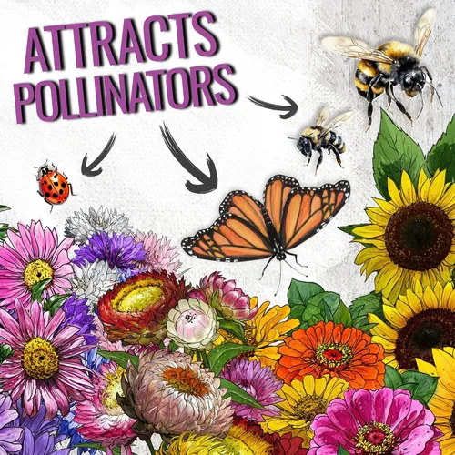 Vista 4 de Seed Needs Semillas de flores de jardín, flores grandes, mezcla de colibrí y mariposa, 1 onza sin relleno, 7 variedades de polinización abierta