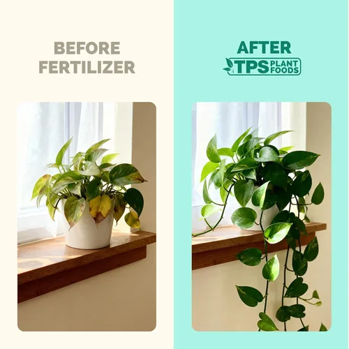 Vista 3 de Abono para Plantas de Interior - Fertilizante Líquido para Plantas de Interior y Plantas de Maceta, por TPS Plant Foods, 8 oz (250 mL)