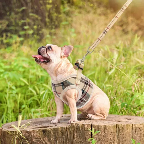 Vista 7 de PUPTECK Juego de Arnés y Correa para Perro de Malla Suave Step-in a Cuadros para Cachorro Acolchado Sin Tirones Chaleco Arnés para Perros XS Beige
