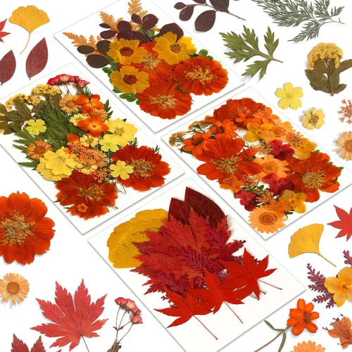 Vista 8 de Augshy Juego de flores secas prensadas reales con calcomanías transparentes de mariposa, calcomanías para álbumes de recortes, flores secas