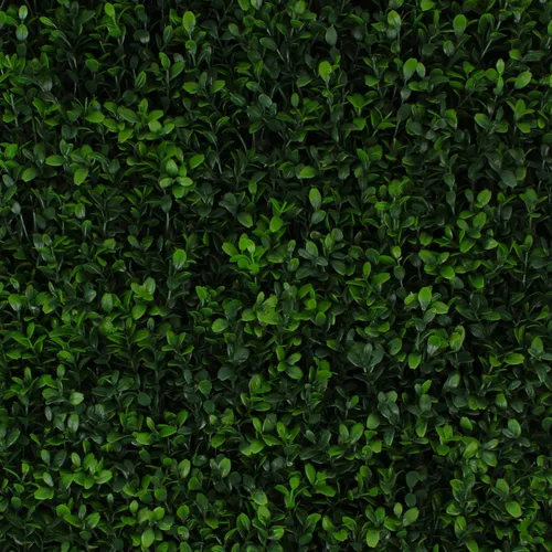 Vista 30 de 3rd Street Inn Paneles de pared de vegetación artificial para privacidad, paquete de 2