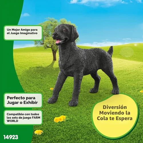 Vista 3 de Schleich Negro Labrador Retriever Mujer 14923