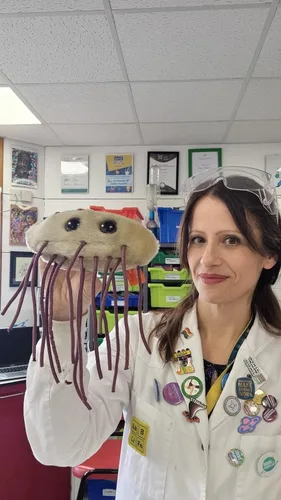 Vista 5 de Giant Microbes peluche de tejido suave en forma de E. Coli (escherichia Coli)