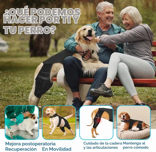 Vista 4 de Rodillera para perro, soporte de cadera ajustable para perros (gris-negro, XS)