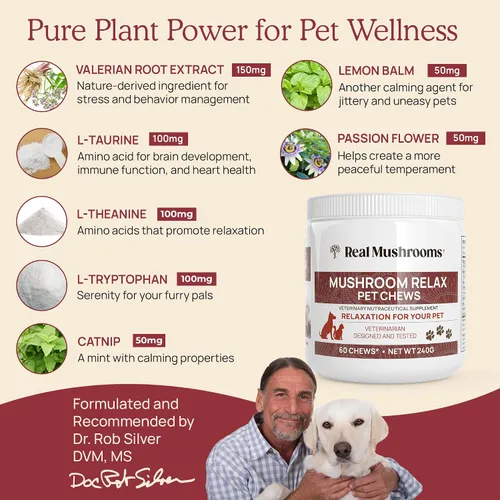 Vista 6 de Real Mushrooms Reishi & Cordyceps para humanos y hongos masticables relajantes para mascotas, paquete para relajación, energía e inmunidad, vegano