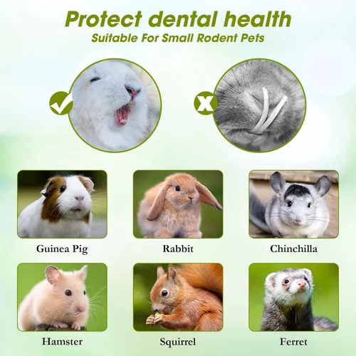 Vista 5 de Abizoo Juguetes masticables naturales para conejos, 10 palitos de bambú dulces para conejos, cobayas, chinchillas y hámsters, aperitivos de madera