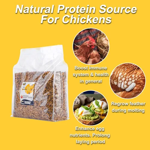 Vista 4 de RANZ 5 libras de gusanos secos sin OMGs para pollos, gusanos altos en proteína, alimento premium para pollos, alimento y golosinas perfectas