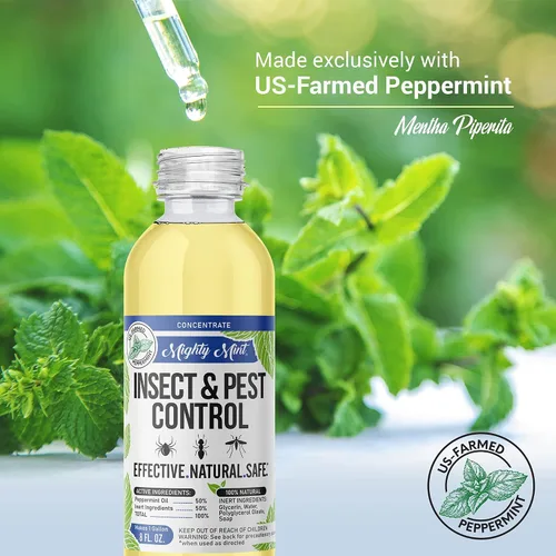 Vista 6 de Mighty Mint Concentrado repelente de insectos de aceite de menta – Control natural de insectos en interiores y exteriores para arañas, hormigas