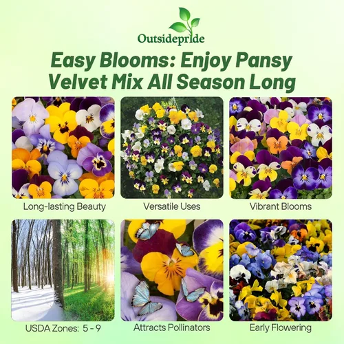 Vista 2 de Outsidepride Velvet Mix Viola - Semillas de pensamiento para plantar, 1000 unidades. Flores bienales, resistentes al frío y aptas para polinizadores