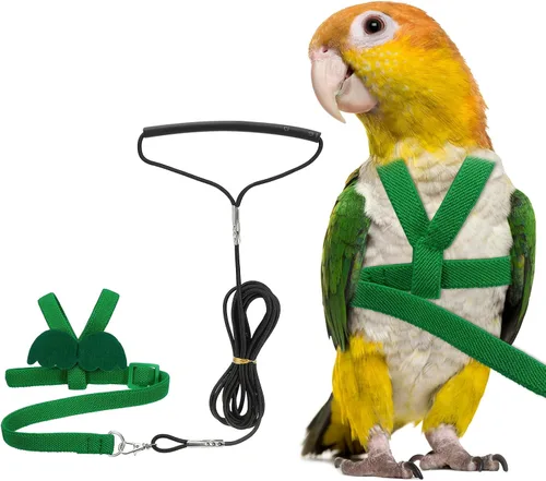 Vista 11 de Correa de arnés para pájaros, arnés ajustable para pájaros y loros para mascotas, ligera, antimordeduras, cuerda de entrenamiento de vuelo con linda