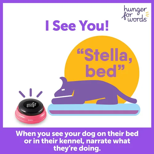 Vista 6 de Hunger For Words Talking Pet Next Words Locations - Juego de 3 botones de voz grabables para perros, botones de comunicación para perros