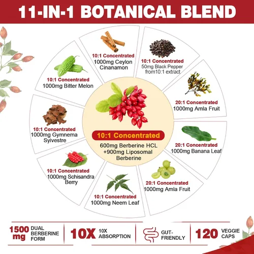 Vista 3 de Berberina Suplemento Orgánico 1500mg con Canela de Ceilán 120 Cápsulas