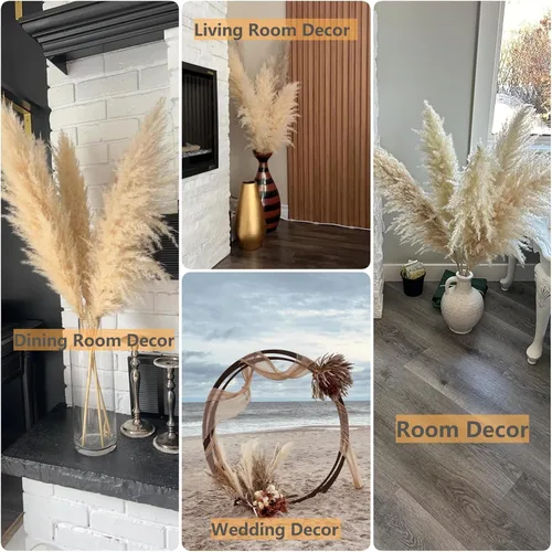 Vista 6 de 10 tallos de hierba de las pampas de 40 pulgadas de alto en color beige natural, añade un toque bohemio a tu espacio: hierba de las pampas ideal