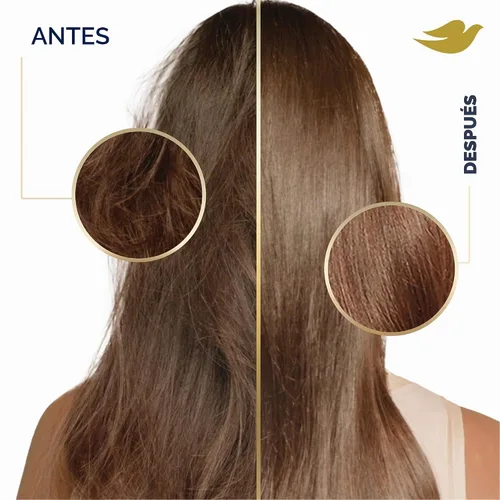 Vista 7 de Dove Ultra Care Champú de humedad diaria paquete de 4 para cabello seco con complejo Bio-Restore 31 oz