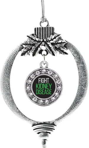Vista 179 de Inspired Silver - Adorno de cromosoma 21 con dije de círculo de plata con joyas de circonita cúbica
