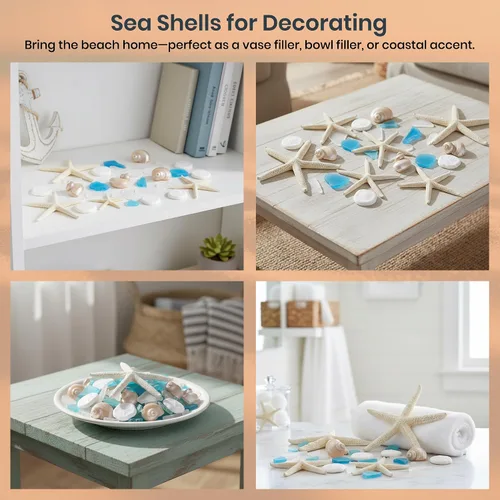 Vista 6 de Conchas de mar – Conchas de playa mezcladas reales con estrellas de mar y cristal de mar (paquete de 5) – Conchas para manualidades – Decoración