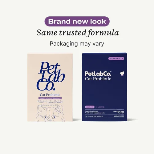 Vista 2 de PetLab Co. Probióticos para gatos, apoyo a la salud intestinal, diarrea ocasional, salud digestiva y apoyo inmunológico, fácil de usar, 30