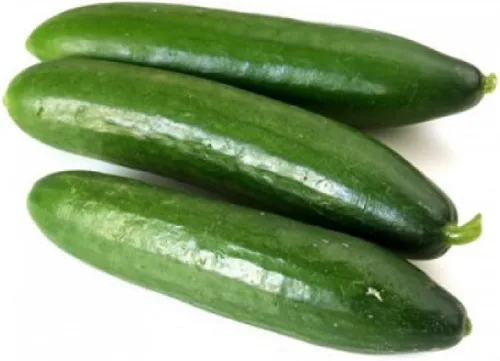 Vista 2 de Semillas Pepino Raro Emelya Gigante Larga Encurtido Heirloom Vegetal NO OGM