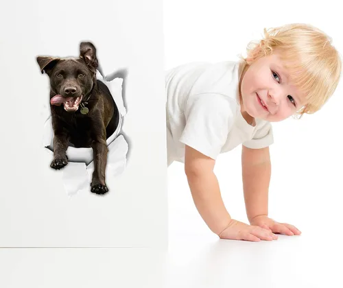 Vista 2 de Winston & Bear Calcomanías 3D para perros, paquete de 2, calcomanías de labrador de chocolate emocionado para pared, nevera, inodoro y más