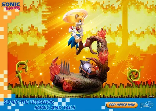 Vista 3 de Sonic The Hedgehog: Sonic and Tails - Figura de edición estándar sin escala