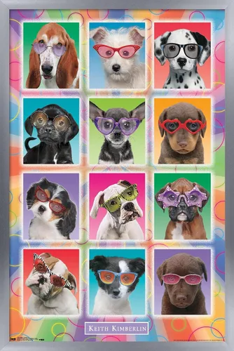 Vista 9 de Trends International Keith Kimberlin - Póster de pared con diseño de cachorros, gafas de sol, 14.725 x 22.375 pulgadas, versión enmarcada de madera