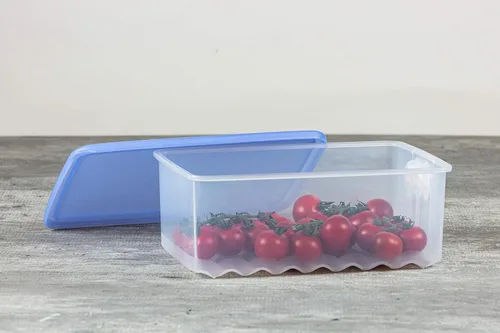 Vista 3 de Tupperware Nevera Smart Medium 1.6l 1pc