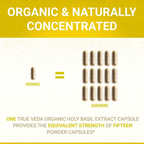 Vista 2 de True Veda Cápsulas de hoja de albahaca sagrada USDA Organic Suplemento de albahaca sagrada Tulsi Vitamina orgánica B6 Extracto de ácido