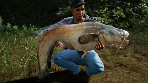 Vista 5 de Fishing Sim World Pro Tour Collector's Edition (PS4) - PlayStation 4