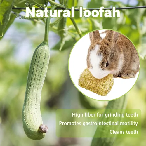 Vista 8 de BNOSDM Juguetes masticables de conejo, esponja natural, 6 piezas de dientes de conejo, juguete para moler conejo, golosinas ricas en fibra