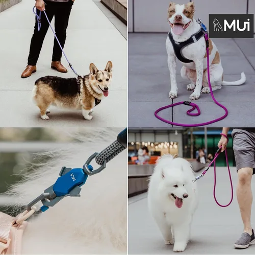 Vista 5 de MUI - Correas magnéticas para perros grandes, resistente, correa de perro de 6 pies con fácil conexión de doble gancho, funciona con cualquier