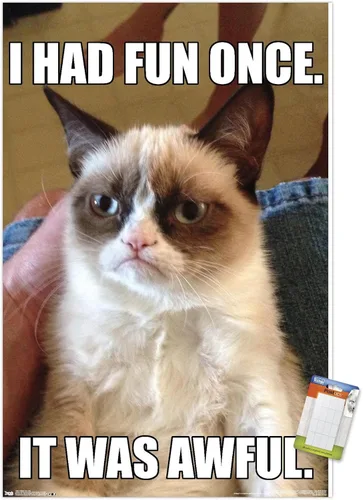 Vista 11 de Trends International Grumpy Cat - Póster de pared divertido, 22.375 x 34 pulgadas, versión enmarcada plateada Versión con marco plateado
