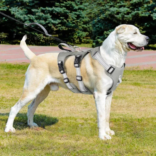 Vista 8 de FEimaX Arnés para perro sin tirones, chaleco acolchado suave para perro con 3 clips para la correa y asa de fácil control, reflectante ajustable sin
