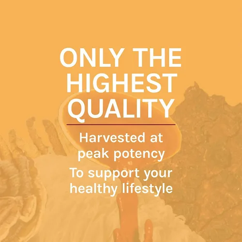 Vista 8 de Host Defense Extracto de Cordyceps - Suplemento de apoyo inmunológico y energético - Suplemento de salud renal con Cordyceps - Apoyo físico