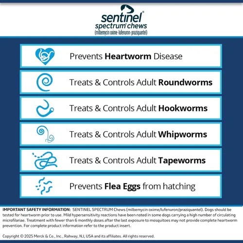 Vista 11 de SENTINEL SPECTRUM Masticables para perros, 50-100 libras, 6 masticables, suministro para 6 meses, caja azul