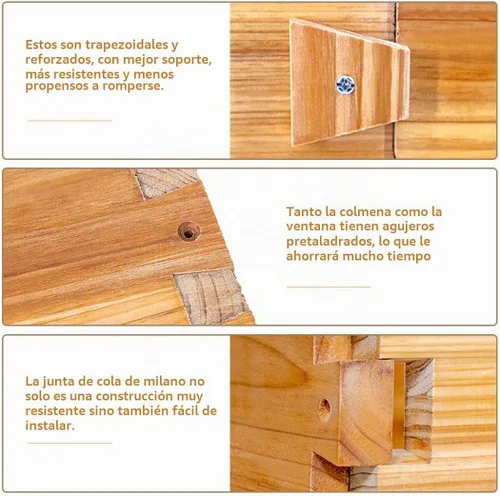 Vista 5 de BeeCastle Colmena Langstroth de 10 marcos con ventanas, colmena de abejas recubierta con cera de abejas para principiantes con marcos de colmena