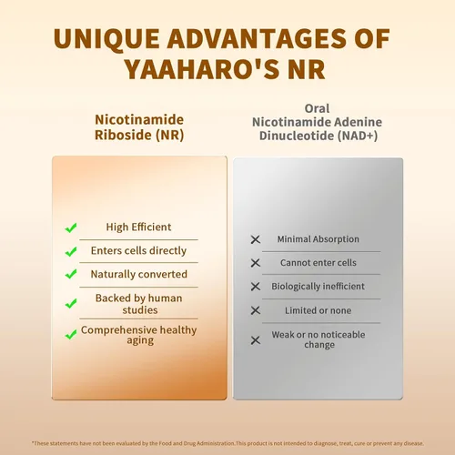Vista 4 de Suplemento NAD 120 cápsulas – Ribosida de nicotinamida liposomal con trans-resveratrol y quercetina – 1000 mg NAD+ suplemento para hombres y mujeres