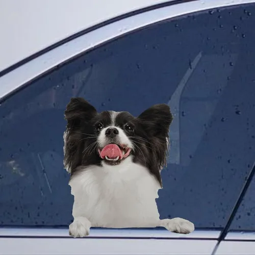 Vista 32 de Calcomanías de perro caniche, divertidas calcomanías de vinilo troqueladas para automóvil, laptop, parachoques Estilo-37