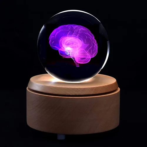 Vista 2 de Pisapapeles modelo anatómico del cerebro humano 3D (grabado con láser) en regalo de ciencia de bola de cristal (base LED incluida)