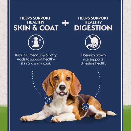 Vista 4 de Natural Balance Alimento seco para perros adultos de ingredientes limitados con proteína vegana a base de plantas y granos saludables, receta