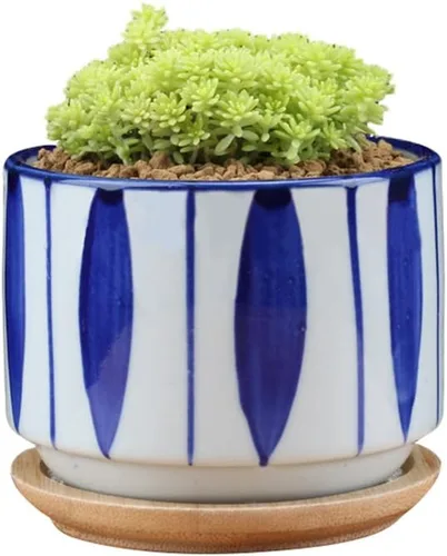 Vista 3 de GeLive Maceta de cerámica para suculentas de 3 pulgadas, maceta de cactus, contenedor de flores con bandeja de goteo de bambú, para interiores