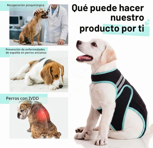 Vista 2 de IVDD - Soporte de espalda para perros, suave para la recuperación de cirugía Dog Back Protector Spine Support for Arthritis, Dogs Back Disease