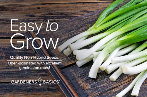 Vista 4 de Gardeners Basics, Semillas de cebolla verde para plantar: el racimo blanco largo de Tokio es una gran variedad de verduras no transgénicas, 200